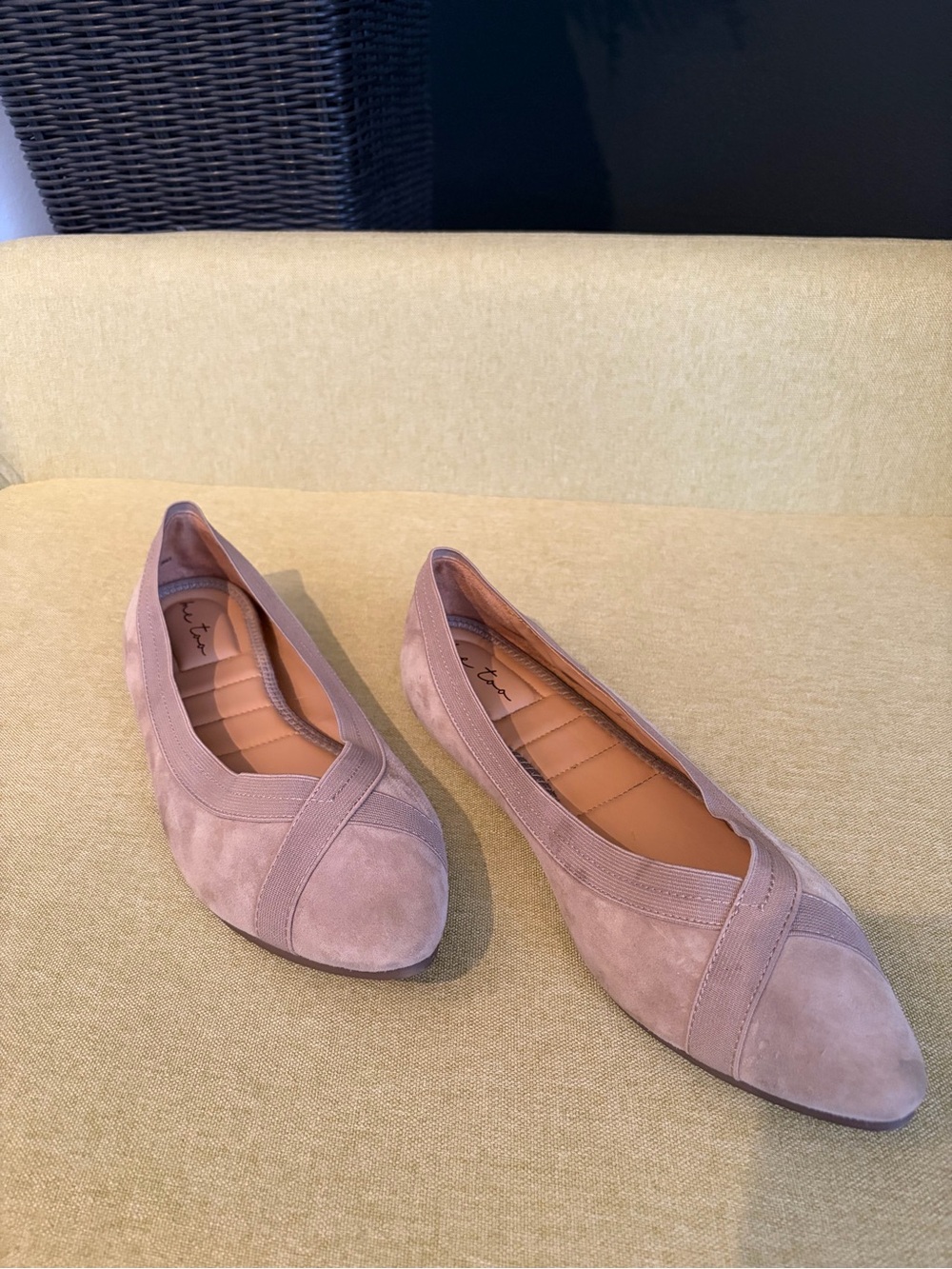 me too Suede Ballet Flats in Dusty Rose